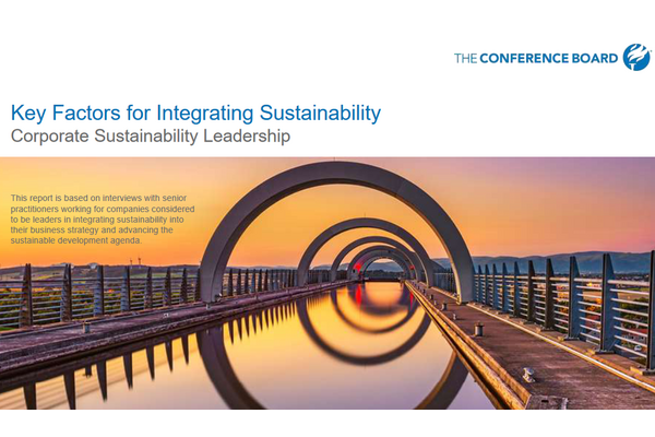 Publication: 'Key Factors for Integrating Sustainability'